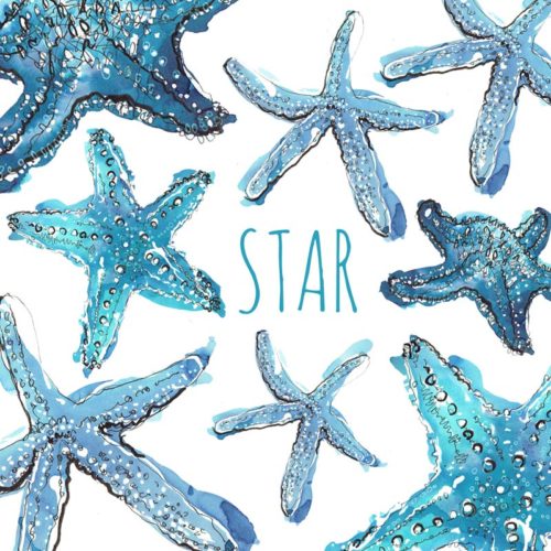 starfish card