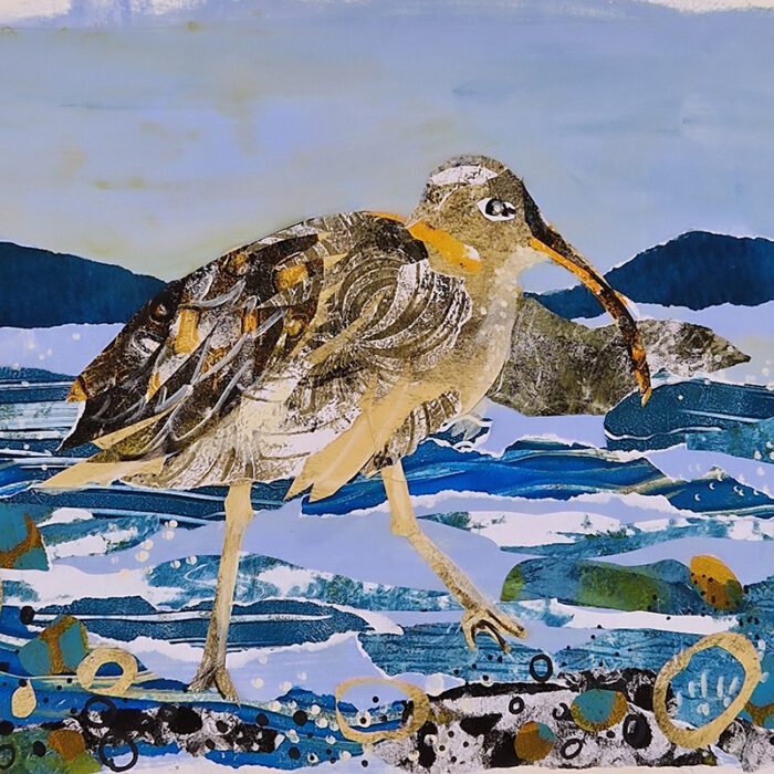 Collage Bird Workshop Friday 5 December 2025