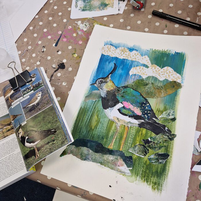 Collage Bird Workshop Friday Morning 2 May 2025 - Image 2